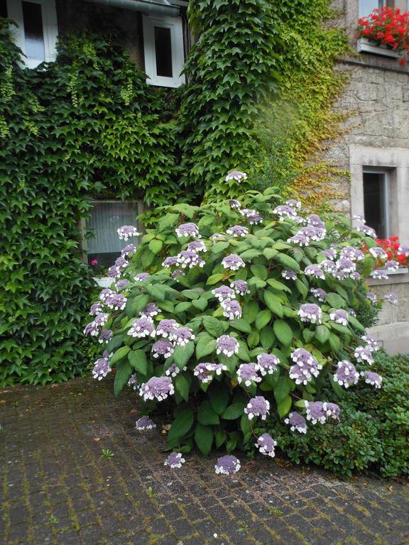 Hotel Westfalenhof Garni